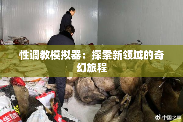 性调教模拟器：探索新领域的奇幻旅程