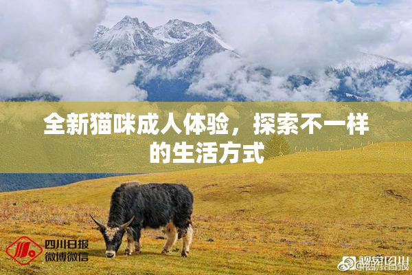 全新猫咪成人体验，探索不一样的生活方式