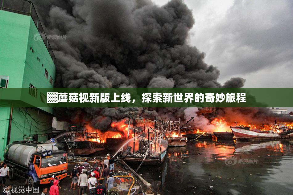 ▓蘑菇视新版上线，探索新世界的奇妙旅程