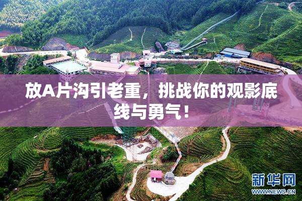 放A片沟引老重，挑战你的观影底线与勇气！