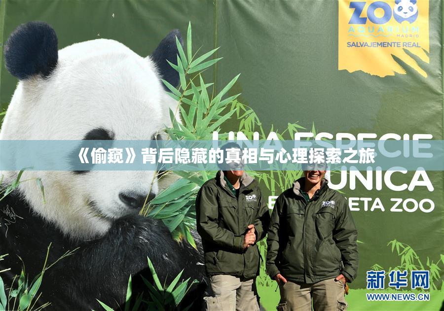 《偷窥》背后隐藏的真相与心理探索之旅