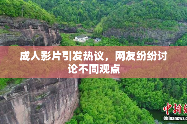 成人影片引发热议，网友纷纷讨论不同观点