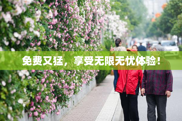 免费又猛，享受无限无忧体验！
