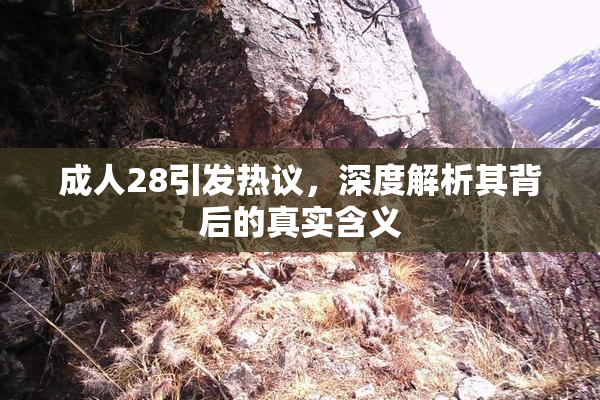 成人28引发热议，深度解析其背后的真实含义