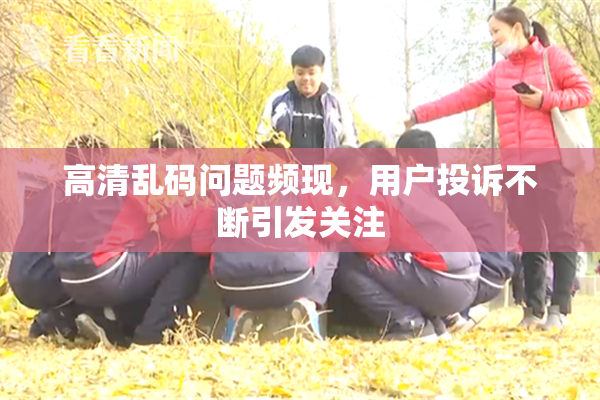 高清乱码问题频现，用户投诉不断引发关注