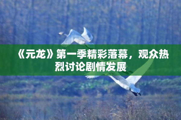 《元龙》第一季精彩落幕，观众热烈讨论剧情发展