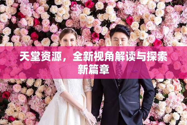 天堂资源，全新视角解读与探索新篇章