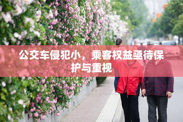 公交车侵犯小，乘客权益亟待保护与重视