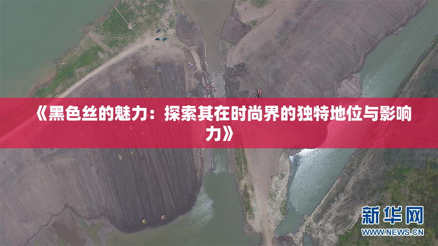 《黑色丝的魅力：探索其在时尚界的独特地位与影响力》