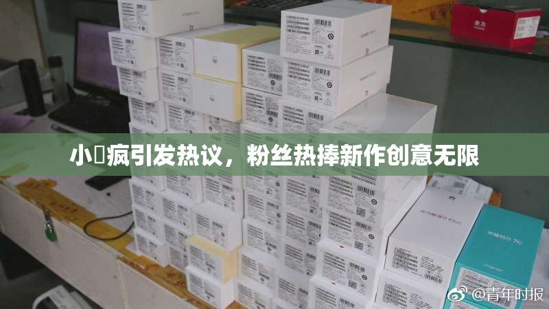 小泬疯引发热议，粉丝热捧新作创意无限