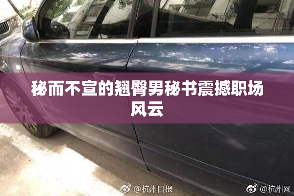 秘而不宣的翘臀男秘书震撼职场风云