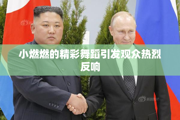 小燃燃的精彩舞蹈引发观众热烈反响