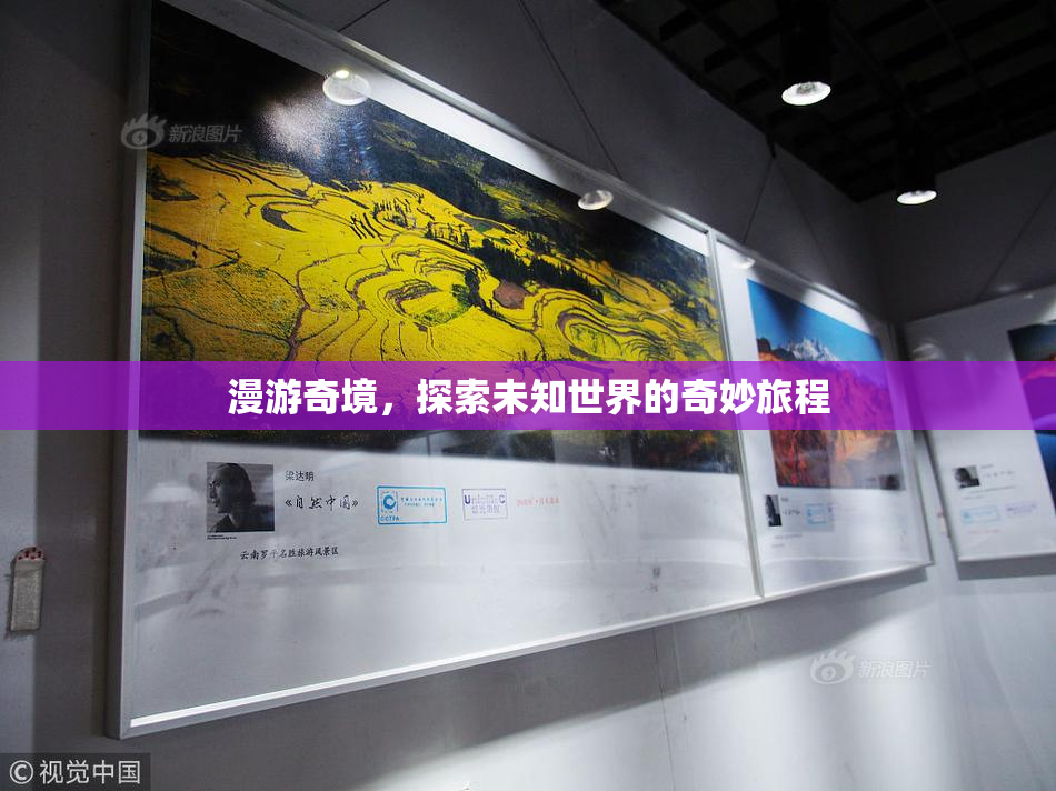 漫游奇境，探索未知世界的奇妙旅程