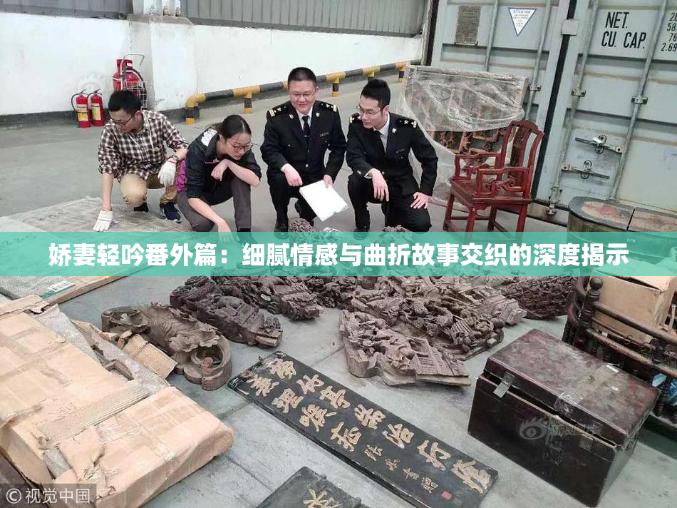娇妻轻吟番外篇：细腻情感与曲折故事交织的深度揭示