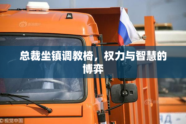 总裁坐镇调教椅，权力与智慧的博弈