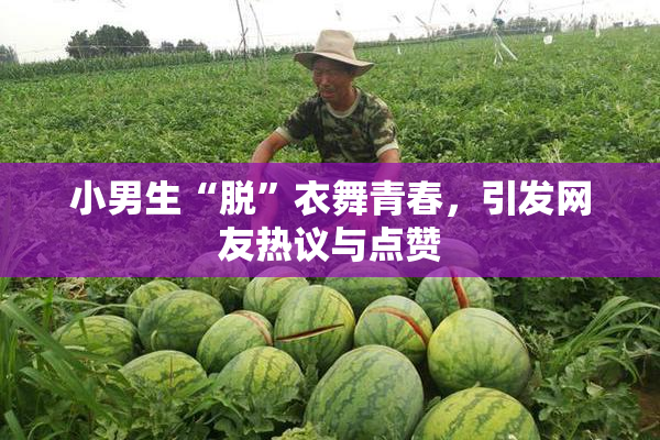小男生“脱”衣舞青春，引发网友热议与点赞