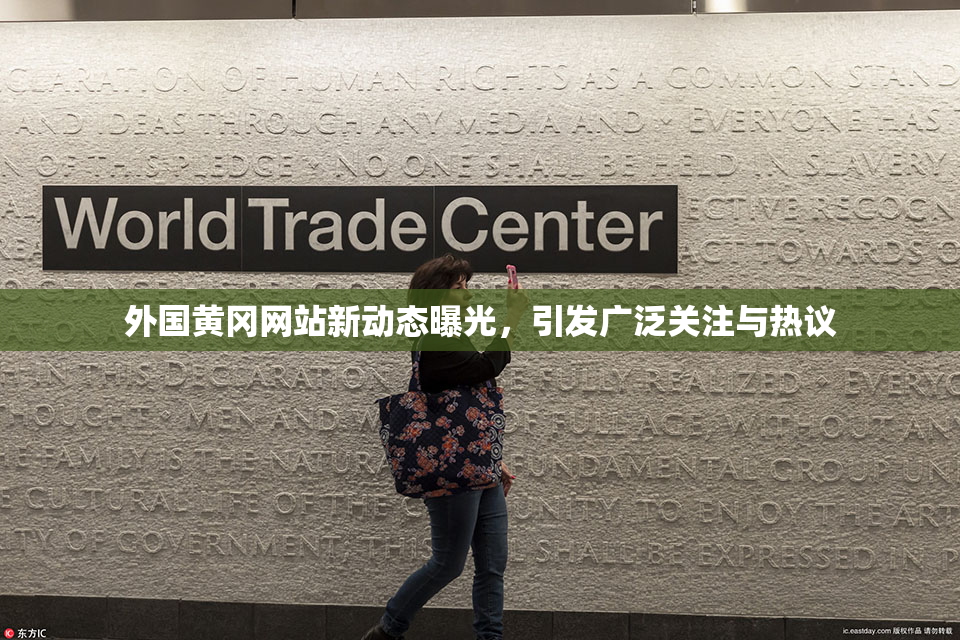 外国黄冈网站新动态曝光，引发广泛关注与热议