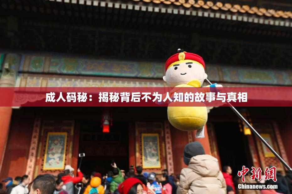 成人码秘：揭秘背后不为人知的故事与真相