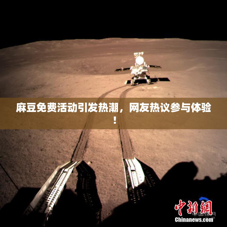 麻豆免费活动引发热潮，网友热议参与体验！