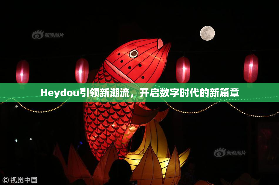 Heydou引领新潮流，开启数字时代的新篇章