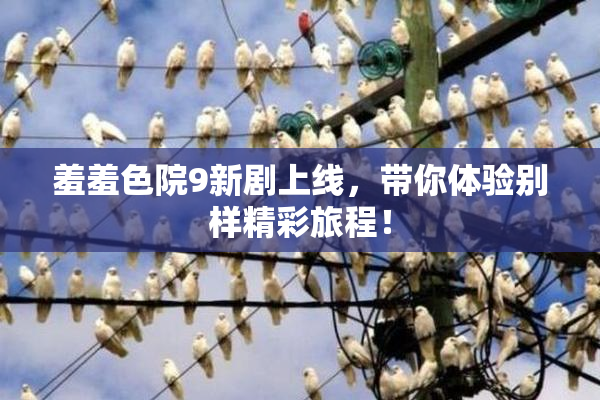 羞羞色院9新剧上线，带你体验别样精彩旅程！