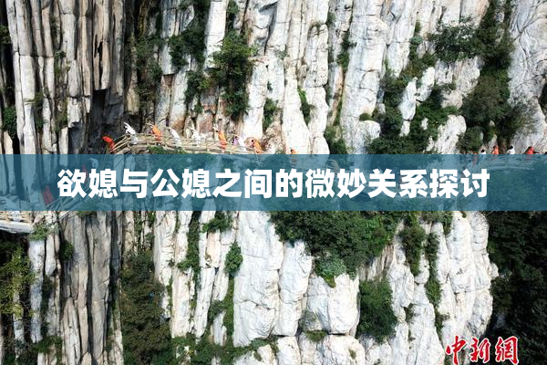 欲媳与公媳之间的微妙关系探讨