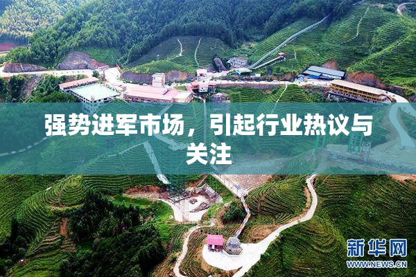 强势进军市场，引起行业热议与关注
