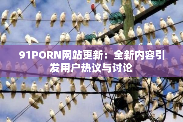 91PORN网站更新：全新内容引发用户热议与讨论