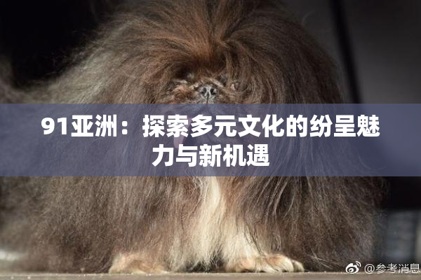 91亚洲：探索多元文化的纷呈魅力与新机遇