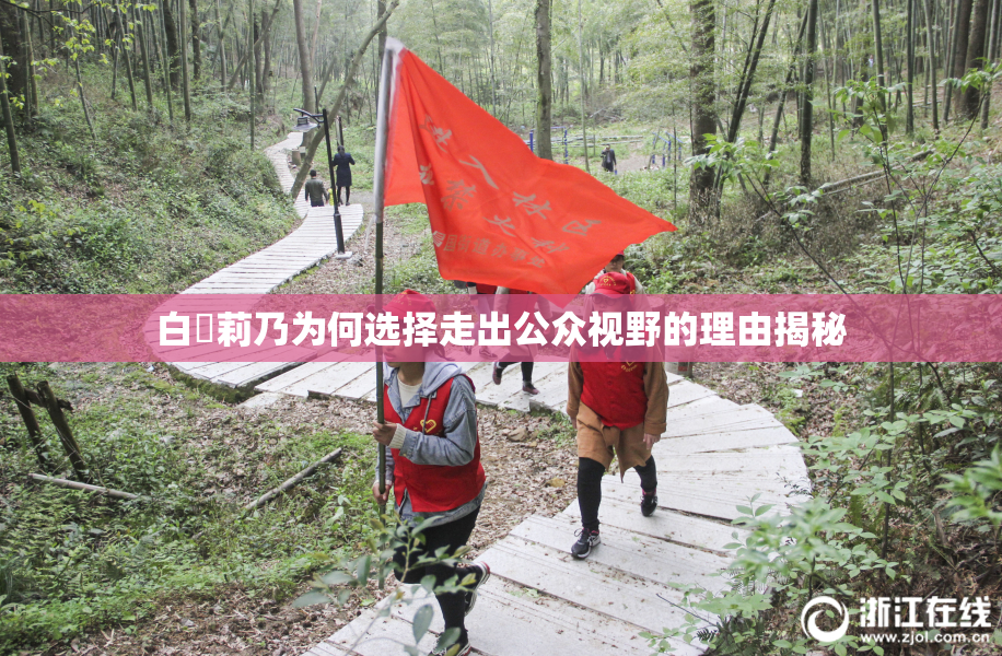 白咲莉乃为何选择走出公众视野的理由揭秘