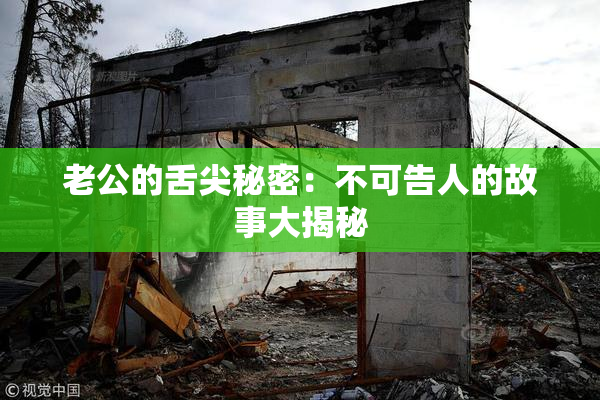 老公的舌尖秘密：不可告人的故事大揭秘