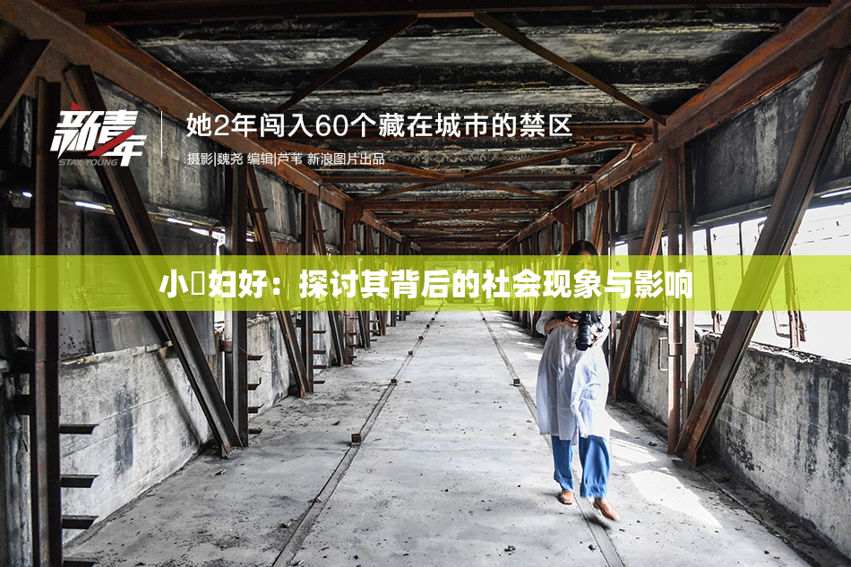 小婬妇好：探讨其背后的社会现象与影响