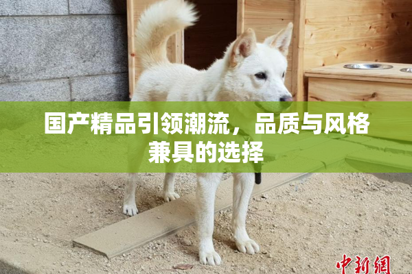 国产精品引领潮流，品质与风格兼具的选择