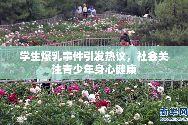 学生爆乳事件引发热议，社会关注青少年身心健康