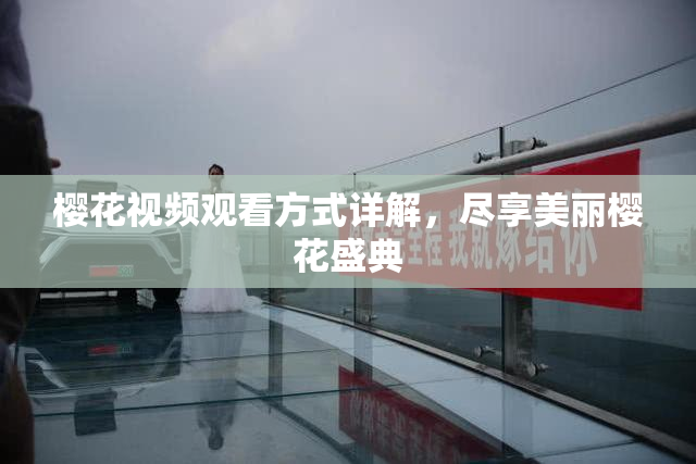 樱花视频观看方式详解，尽享美丽樱花盛典
