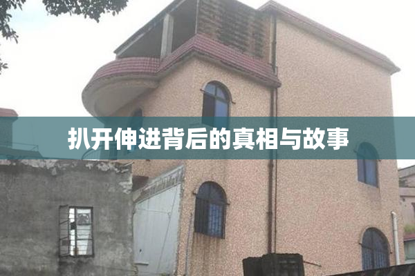 扒开伸进背后的真相与故事