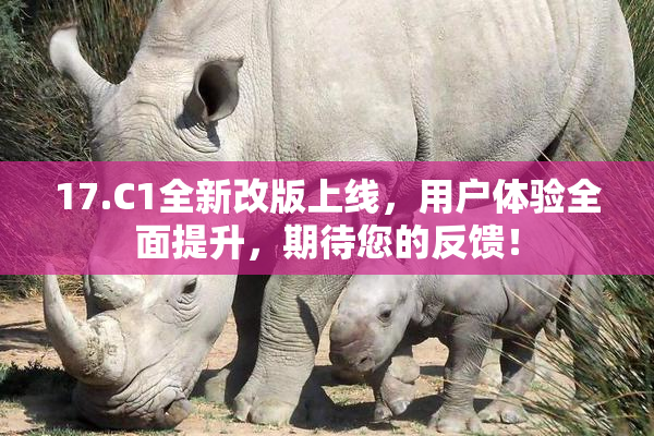 17.C1全新改版上线，用户体验全面提升，期待您的反馈！