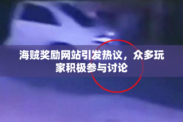 海贼奖励网站引发热议，众多玩家积极参与讨论