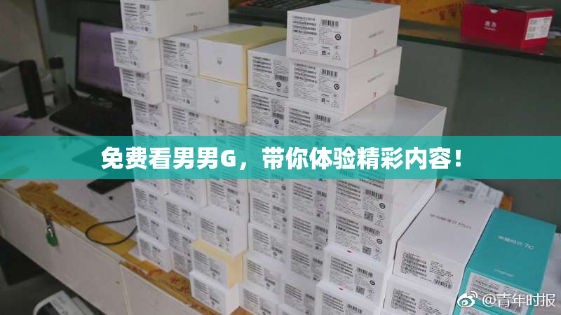 免费看男男G，带你体验精彩内容！
