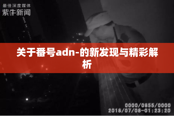 关于番号adn-的新发现与精彩解析
