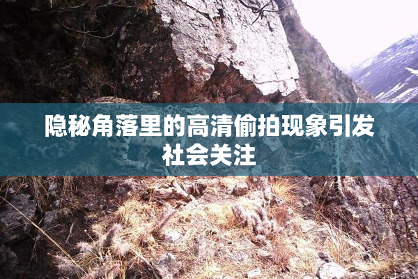 隐秘角落里的高清偷拍现象引发社会关注