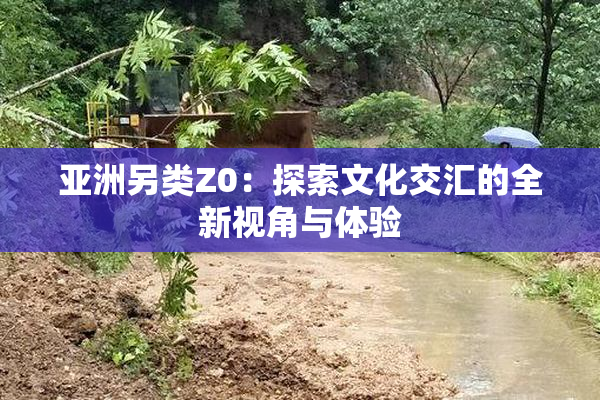 亚洲另类Z0：探索文化交汇的全新视角与体验