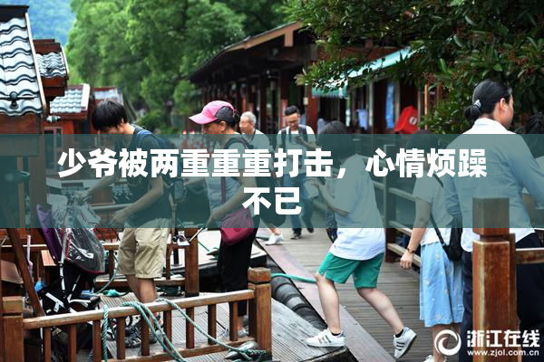 少爷被两重重重打击，心情烦躁不已