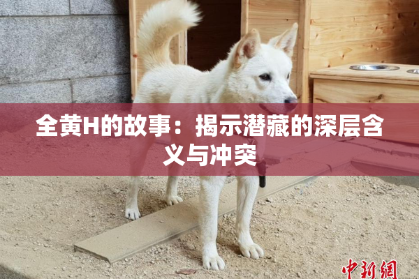 全黄H的故事：揭示潜藏的深层含义与冲突