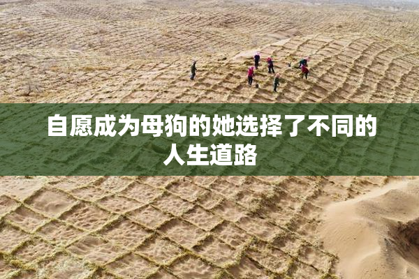 自愿成为母狗的她选择了不同的人生道路