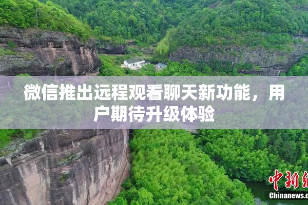 微信推出远程观看聊天新功能，用户期待升级体验