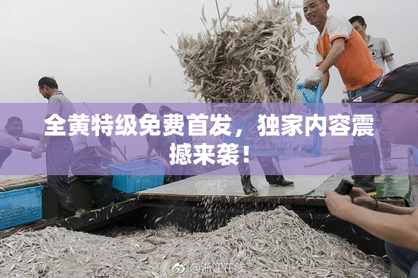 全黄特级免费首发，独家内容震撼来袭！