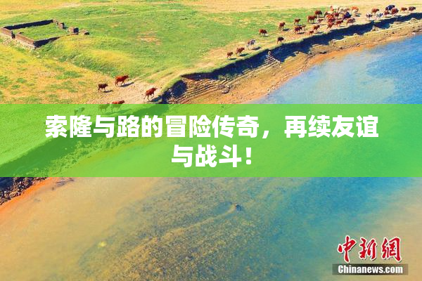 索隆与路的冒险传奇，再续友谊与战斗！