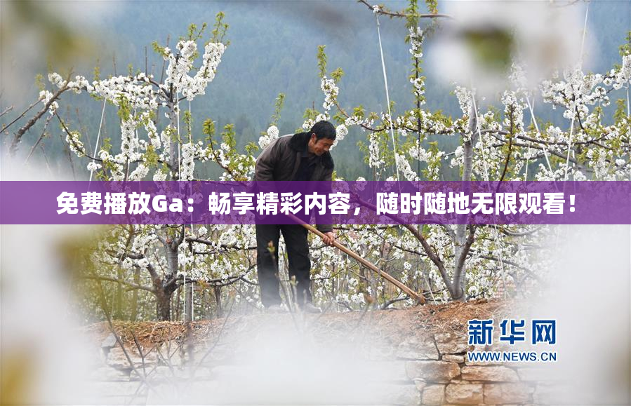 免费播放Ga：畅享精彩内容，随时随地无限观看！
