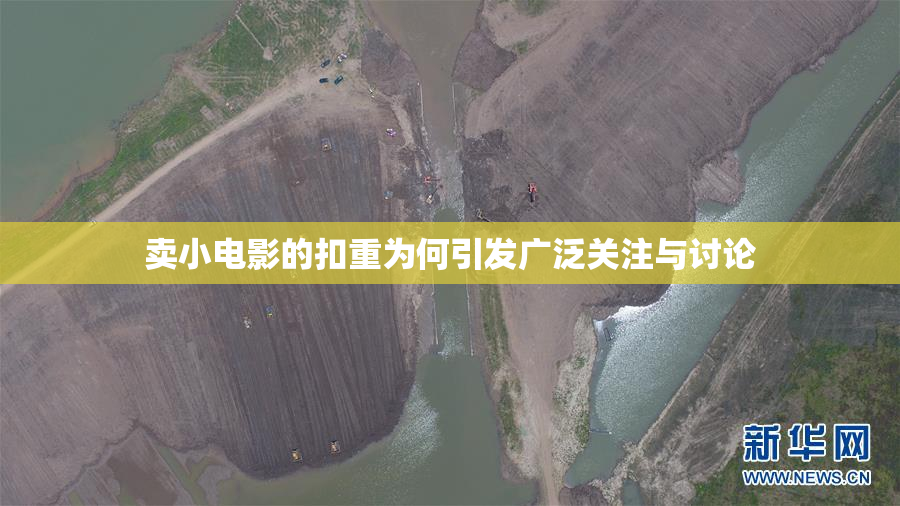 卖小电影的扣重为何引发广泛关注与讨论